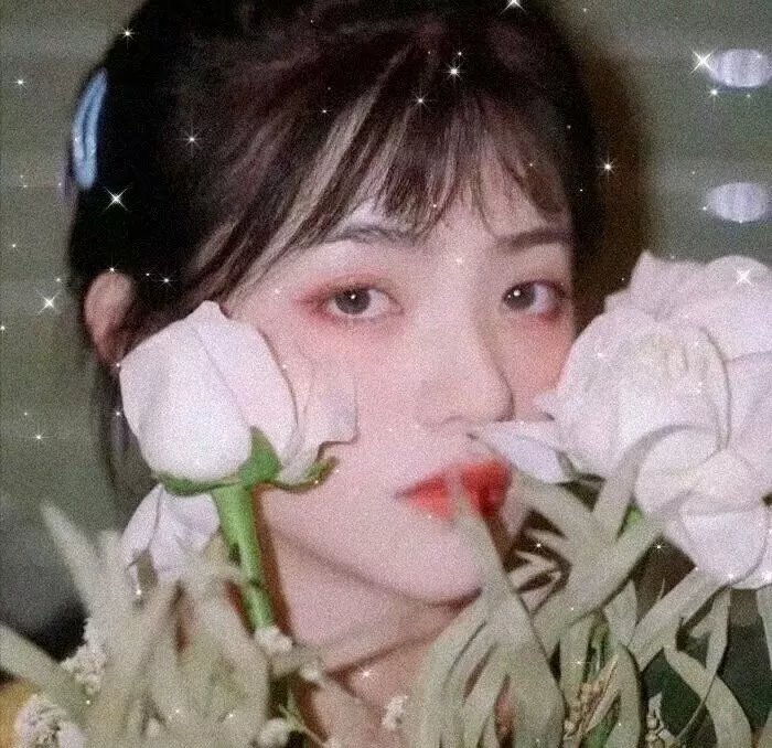 一不小心捡到爱