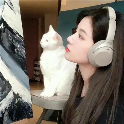 冷月伴君归